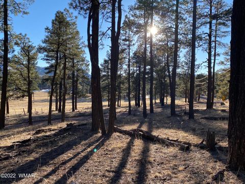 Tiny photo for 1A FOREST ROAD 26, Alpine, AZ 85920 (MLS # 239420)
