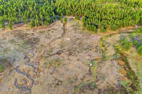 Tiny photo for 1A FOREST ROAD 26, Alpine, AZ 85920 (MLS # 239420)