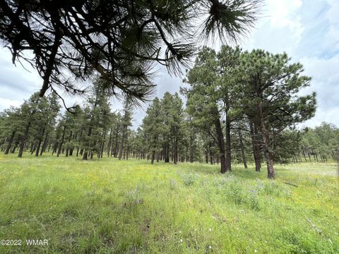 Tiny photo for 1A FOREST ROAD 26, Alpine, AZ 85920 (MLS # 239420)