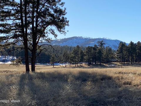 Tiny photo for 1A FOREST ROAD 26, Alpine, AZ 85920 (MLS # 239420)