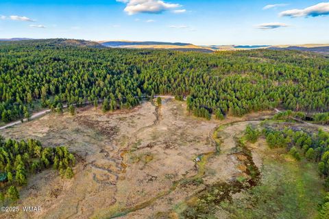 Tiny photo for 1A FOREST ROAD 26, Alpine, AZ 85920 (MLS # 239420)