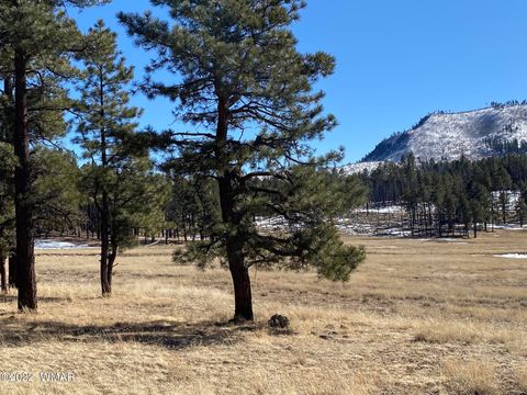 Tiny photo for 1A FOREST ROAD 26, Alpine, AZ 85920 (MLS # 239420)