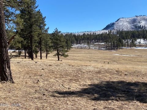 Tiny photo for 1A FOREST ROAD 26, Alpine, AZ 85920 (MLS # 239420)