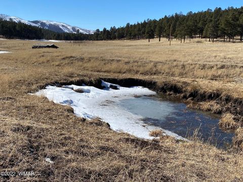 Tiny photo for 1A FOREST ROAD 26, Alpine, AZ 85920 (MLS # 239420)