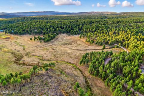 Tiny photo for 1A FOREST ROAD 26, Alpine, AZ 85920 (MLS # 239420)