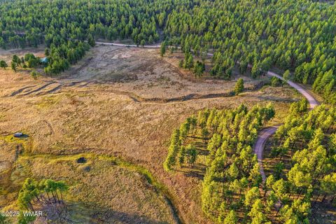 Tiny photo for 1A FOREST ROAD 26, Alpine, AZ 85920 (MLS # 239420)