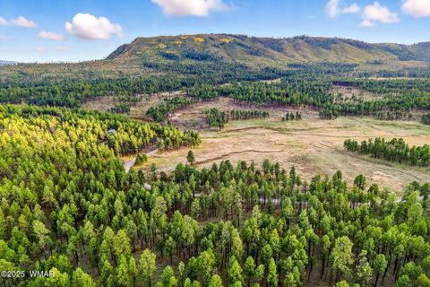Tiny photo for 1A FOREST ROAD 26, Alpine, AZ 85920 (MLS # 239420)