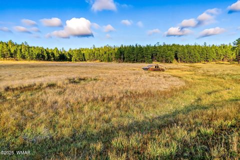 Tiny photo for 1A FOREST ROAD 26, Alpine, AZ 85920 (MLS # 239420)