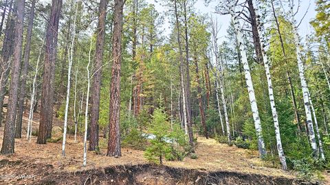 Tiny photo for 2 County Road 1007, Greer, AZ 85927 (MLS # 259583)