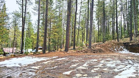 Tiny photo for 2 County Road 1007, Greer, AZ 85927 (MLS # 259583)
