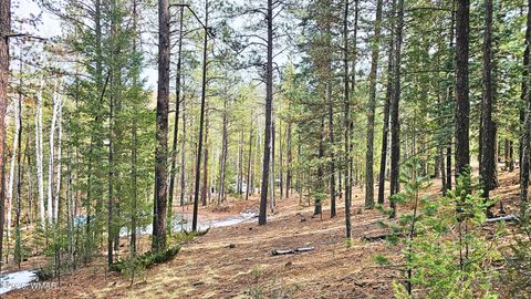 Tiny photo for 2 County Road 1007, Greer, AZ 85927 (MLS # 259583)