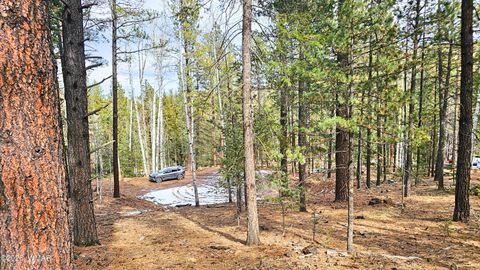 Tiny photo for 2 County Road 1007, Greer, AZ 85927 (MLS # 259583)