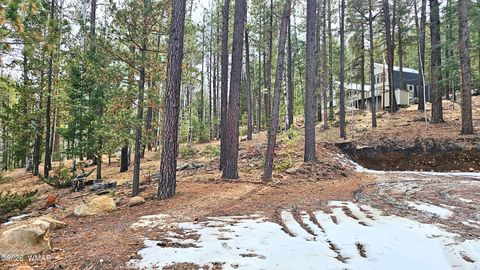 Tiny photo for 2 County Road 1007, Greer, AZ 85927 (MLS # 259583)