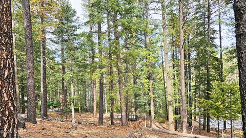 Tiny photo for 2 County Road 1007, Greer, AZ 85927 (MLS # 259583)