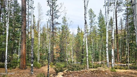 Photo of 2 County Road 1007, Greer, AZ 85927 (MLS # 259583)
