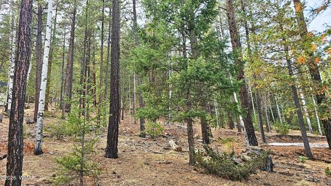 Tiny photo for 2 County Road 1007, Greer, AZ 85927 (MLS # 259583)