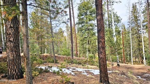 Tiny photo for 2 County Road 1007, Greer, AZ 85927 (MLS # 259583)
