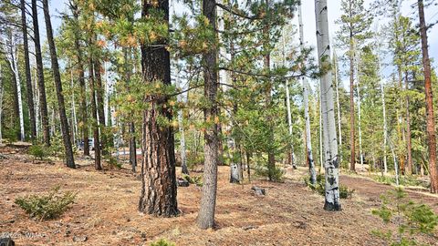 Tiny photo for 2 County Road 1007, Greer, AZ 85927 (MLS # 259583)