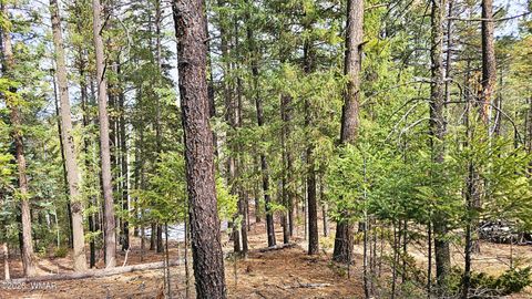 Tiny photo for 2 County Road 1007, Greer, AZ 85927 (MLS # 259583)