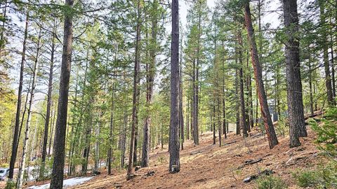 Tiny photo for 2 County Road 1007, Greer, AZ 85927 (MLS # 259583)