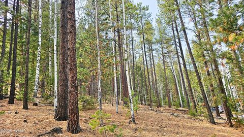Tiny photo for 2 County Road 1007, Greer, AZ 85927 (MLS # 259583)