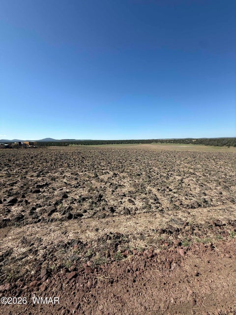 Tiny photo for 8489 Antelope Drive, Show Low, AZ 85901 (MLS # 262771)