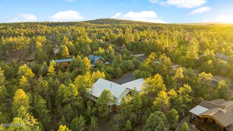 Tiny photo for 2361 S Sierra Park Trail, Show Low, AZ 85901 (MLS # 261359)