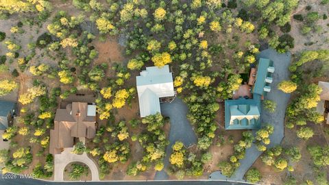 Tiny photo for 2361 S Sierra Park Trail, Show Low, AZ 85901 (MLS # 261359)