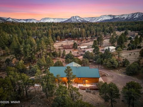 Tiny photo for 15 Co Rd 2026, Nutrioso, AZ 85932 (MLS # 259649)