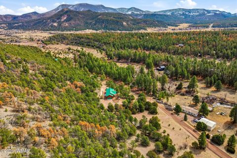 Tiny photo for 15 Co Rd 2026, Nutrioso, AZ 85932 (MLS # 259649)