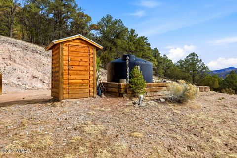 Tiny photo for 15 Co Rd 2026, Nutrioso, AZ 85932 (MLS # 259649)