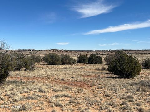 Tiny photo for 3920 Freeman Hollow Road, Snowflake, AZ 85937 (MLS # 259884)