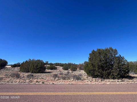 Photo of 3920 Freeman Hollow Road, Snowflake, AZ 85937 (MLS # 259884)