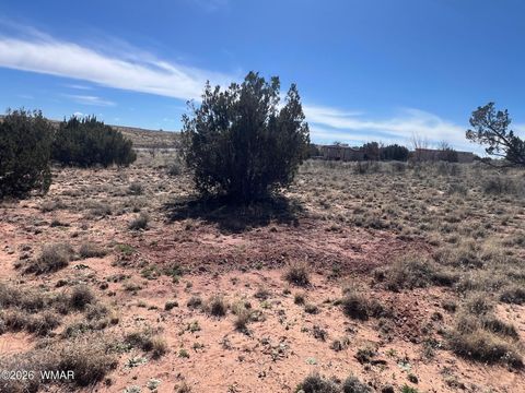 Tiny photo for 3920 Freeman Hollow Road, Snowflake, AZ 85937 (MLS # 259884)