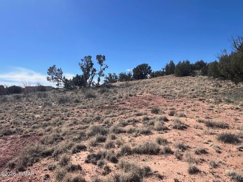 Tiny photo for 3920 Freeman Hollow Road, Snowflake, AZ 85937 (MLS # 259884)