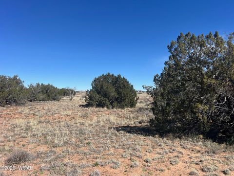 Tiny photo for 3920 Freeman Hollow Road, Snowflake, AZ 85937 (MLS # 259884)