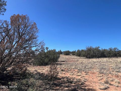 Tiny photo for 3920 Freeman Hollow Road, Snowflake, AZ 85937 (MLS # 259884)