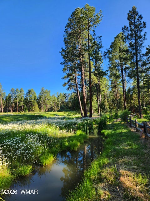 Tiny photo for 1897 Fir Drive, Lakeside, AZ 85929 (MLS # 263340)