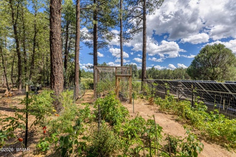 Tiny photo for 1897 Fir Drive, Lakeside, AZ 85929 (MLS # 263340)