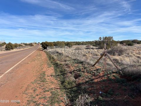 Photo of 9681 E Concho Highway, Snowflake, AZ 85937 (MLS # 259688)