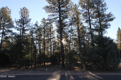 Tiny photo for 3300 W Mariposa Lane, Show Low, AZ 85901 (MLS # 258925)