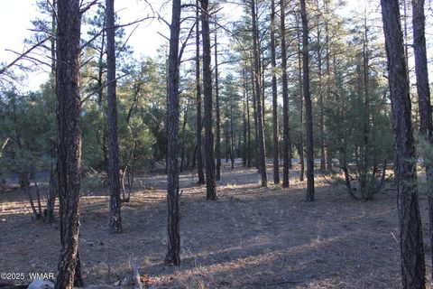 Tiny photo for 3300 W Mariposa Lane, Show Low, AZ 85901 (MLS # 258925)