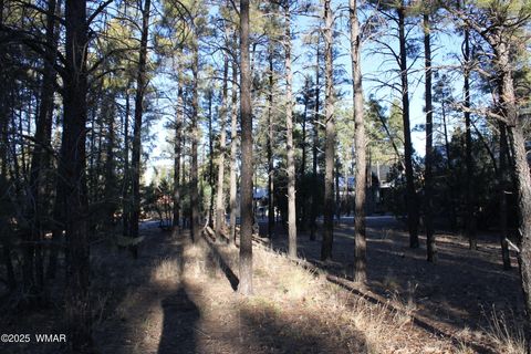 Tiny photo for 3300 W Mariposa Lane, Show Low, AZ 85901 (MLS # 258925)
