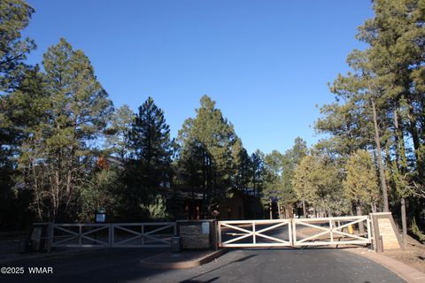 Tiny photo for 3300 W Mariposa Lane, Show Low, AZ 85901 (MLS # 258925)
