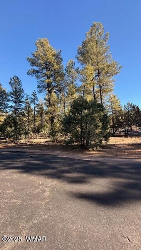 Tiny photo for 3300 W Mariposa Lane, Show Low, AZ 85901 (MLS # 258925)