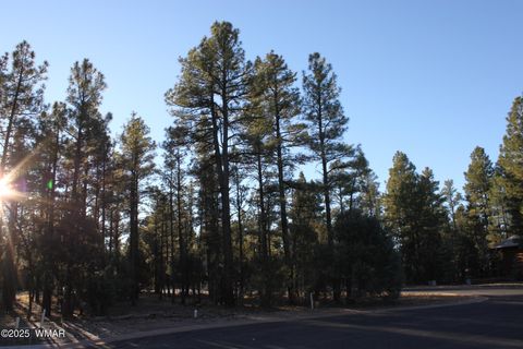 Tiny photo for 3300 W Mariposa Lane, Show Low, AZ 85901 (MLS # 258925)