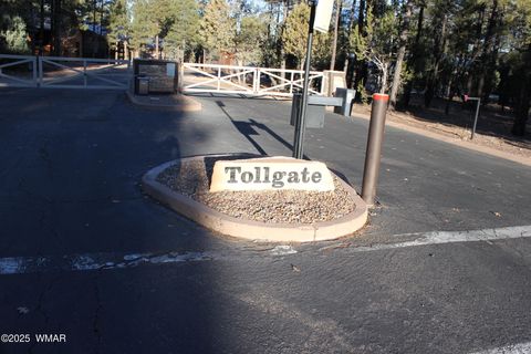 Tiny photo for 3300 W Mariposa Lane, Show Low, AZ 85901 (MLS # 258925)