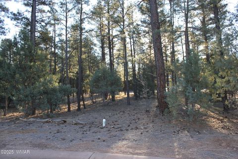 Tiny photo for 3300 W Mariposa Lane, Show Low, AZ 85901 (MLS # 258925)