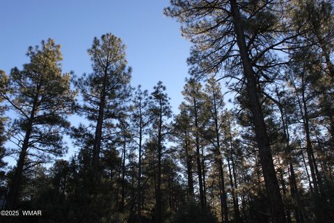 Tiny photo for 3300 W Mariposa Lane, Show Low, AZ 85901 (MLS # 258925)