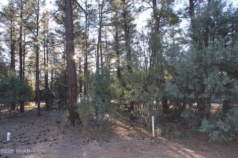 Tiny photo for 3300 W Mariposa Lane, Show Low, AZ 85901 (MLS # 258925)
